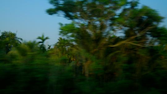 海南高铁动车火车窗外风景沿途风光 椰树
