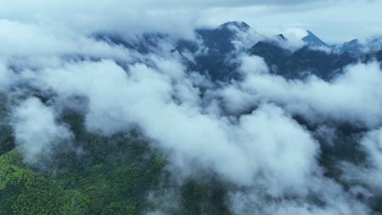 航拍山区森林云海晨雾自然风光