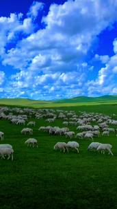 竖版-航拍草原牛群羊群