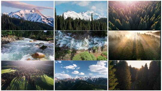 森林雪山溪流大自然风景高清在线视频素材下载