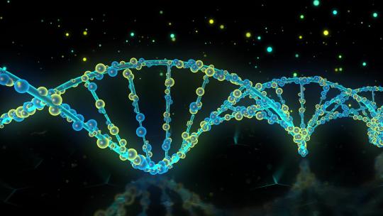 人类细胞  生物细胞 DNA  螺旋