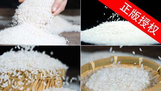 水稻大米五常大米米饭大米饭
