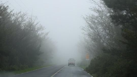 大雾天气车辆行驶在马路