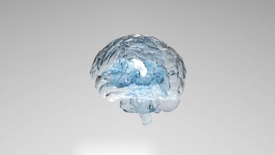 大脑模型透明水晶三维立体医用化学