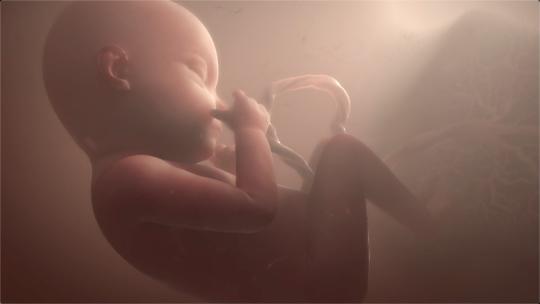 婴儿细胞分裂生命起源视频素材