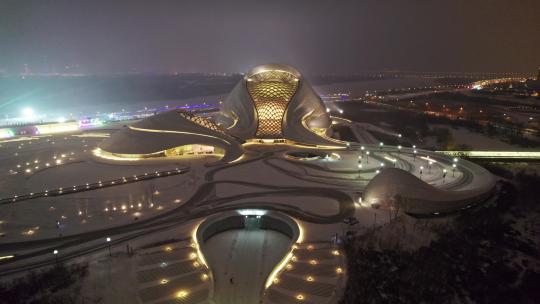 中国黑龙江哈尔滨大剧院夜景航拍视频素材模板下载