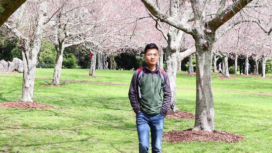 男孩在满是樱花树的公园里散步