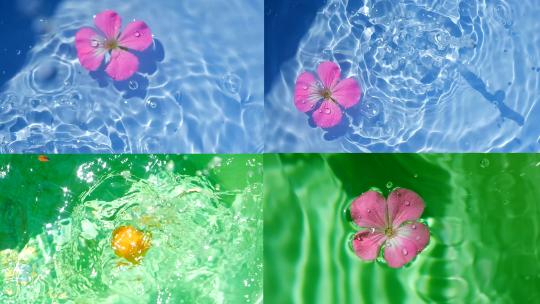 花朵掉入水中高清在线视频素材下载