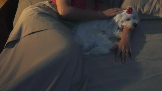 晚上睡觉的女人在床上抚摸狗