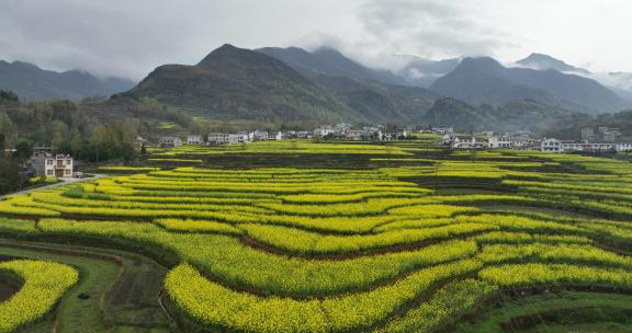 4k高清安康汉阴凤堰古梯田油菜花