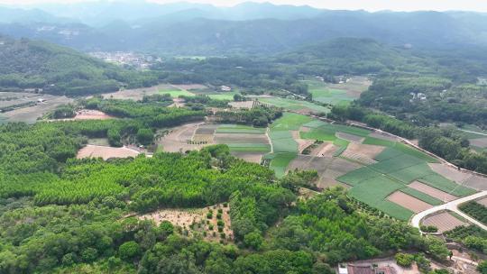 航拍福建漳州漳浦农田田园风光