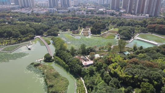湖北武汉城市风光绿化植物航拍