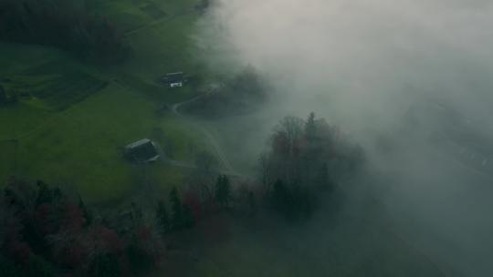 绿色山谷中的雾