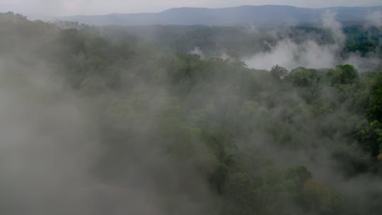 云雾山林天然氧吧