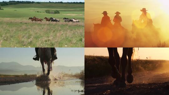 [合集]马奔跑镜头