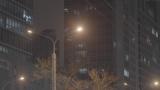 城市路灯夜景高清在线视频素材下载