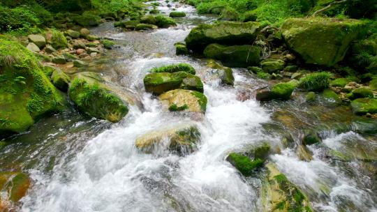 森林小溪-森林小河-小河流水自然生态
