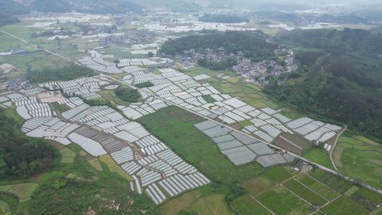 美丽乡村农田农业种植山川丘陵航拍