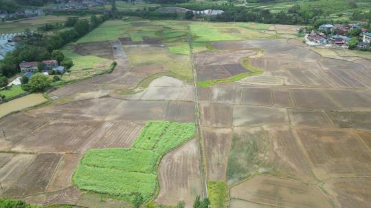 美丽乡村农田农业种植山川丘陵航拍