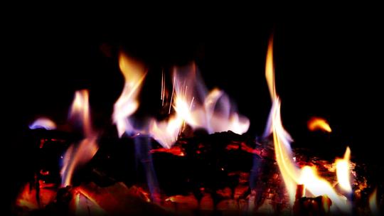 燃烧的火焰木头炭火黑色背景