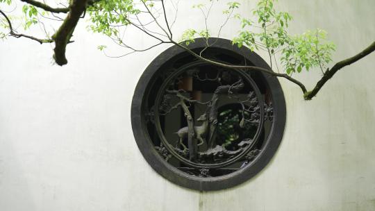 杭州虎跑白墙黑瓦的江南园林围墙前的树枝