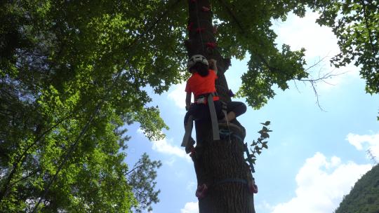 正在爬树的小女孩视频素材模板下载