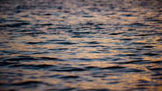 金色湖面夕阳水面波浪波光