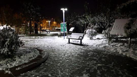 公园雪景