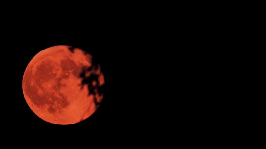 【4K】红色的月亮实拍素材