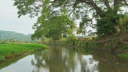 哥斯达黎加塔尔科尔斯河景观，美丽的绿色风景，而移动和旅游T
