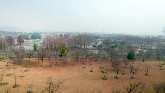 清晨的上海辰山植物园
