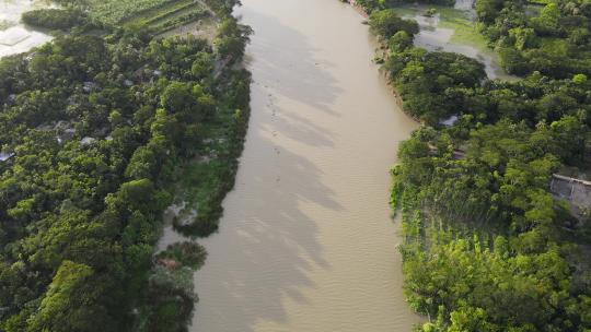 蜿蜒的河流穿过热带森林