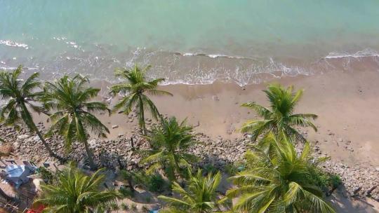 航拍海岸线上的海水和棕榈树
