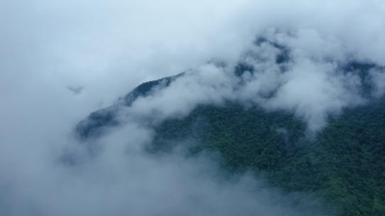 青山·云雾·水墨山水·意境·树林·云海4K
