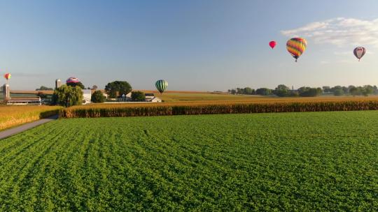 平滑的空中滑翔镜头显示，在20世纪70年代，五个热气球在农村农场和田野上空翱翔