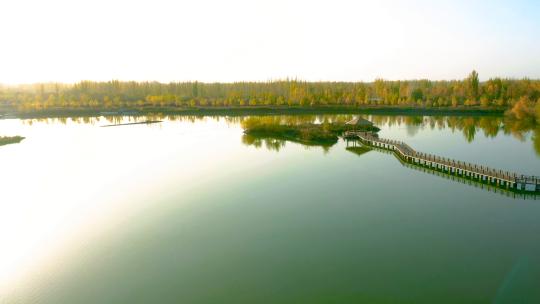 航拍湿地公园视频素材模板下载