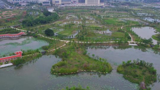 航拍厦门马銮湾双溪湿地公园