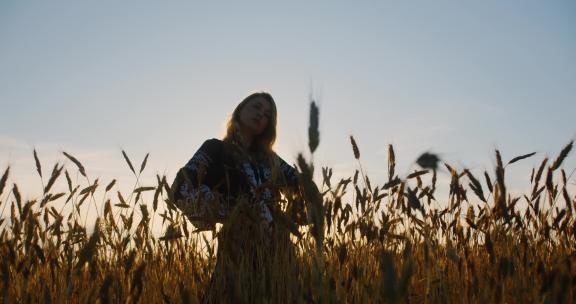 一个穿着刺绣衬衫和乌克兰vyshyvanka的浪漫乡村女孩站在麦田里