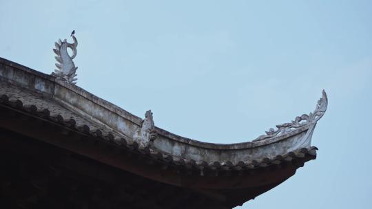 古建筑屋脊兽屋顶小鸟