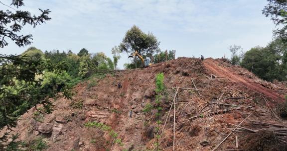 航拍森林砍伐光秃秃的山坡