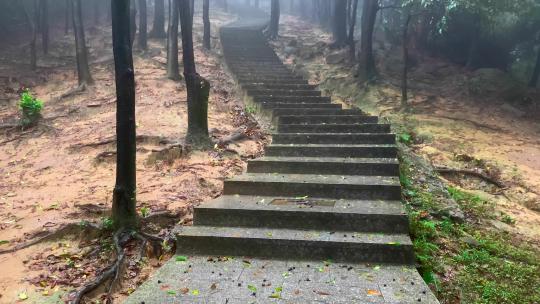下雨起雾登山楼梯