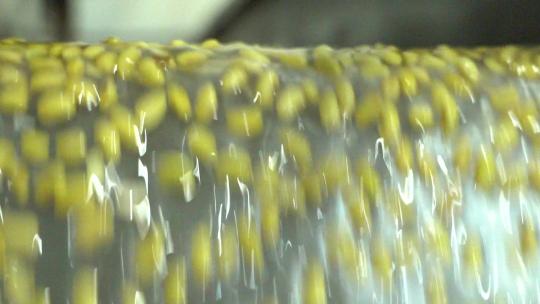 豆制品加工 豆浆 豆腐 豆皮 (24)视频素材模板下载