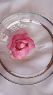 把玫瑰花瓣放在一杯水上竖屏
