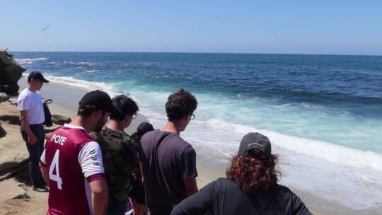一群人看着海浪涌向海岸