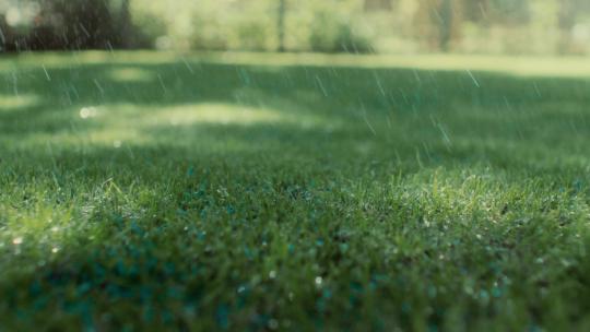 雨水打在草地上