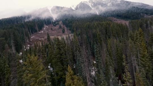 冬季穿越机飞越森林雪山山脉航拍视频素材模板下载
