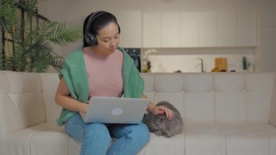 沙发上抚摸猫时使用笔记本电脑的女人