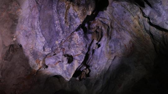 hl1地质考察-龙岩洞溶洞2视频素材模板下载