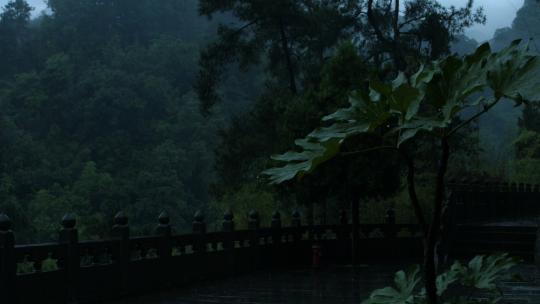 雨中的武当山