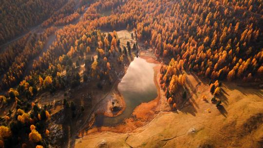 稻城亚丁 川西秋色